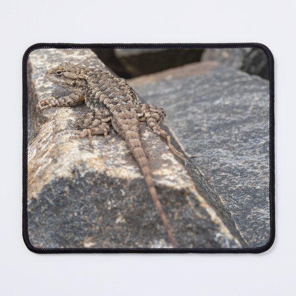 Item preview, Western Fence Lizard side view designed and sold by lisavonbiela.