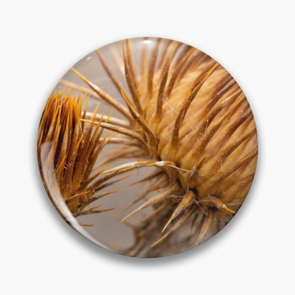 Item preview, Close up of brown thistle designed and sold by lisavonbiela.