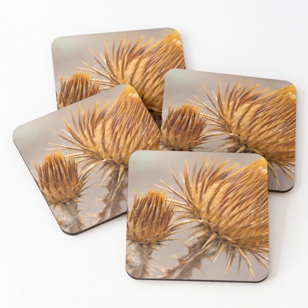Item preview, Close up of brown thistle designed and sold by lisavonbiela.