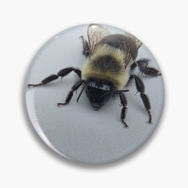 Item preview, Insect - Bumble Bee Black Yellow on White Surface   designed and sold by The Pet Shop.