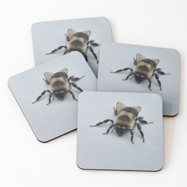 Item preview, Insect - Bumble Bee Black Yellow on White Surface   designed and sold by The Pet Shop.