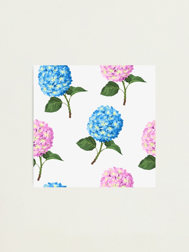 Lámina fotográfica «Flores De Hortensia, Pintura De Flores» de  newburyboutique | Redbubble