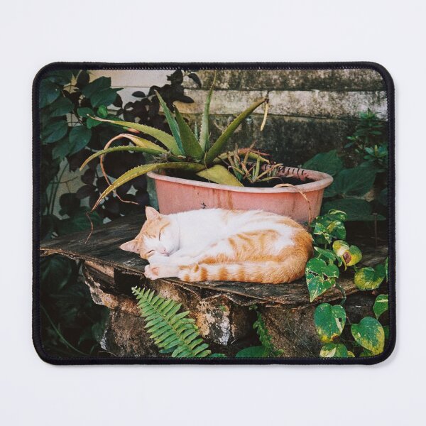 Item preview, Light Mutual Admiration Society Band dBreaks Through designed and sold by Sanelma L Vanhala.