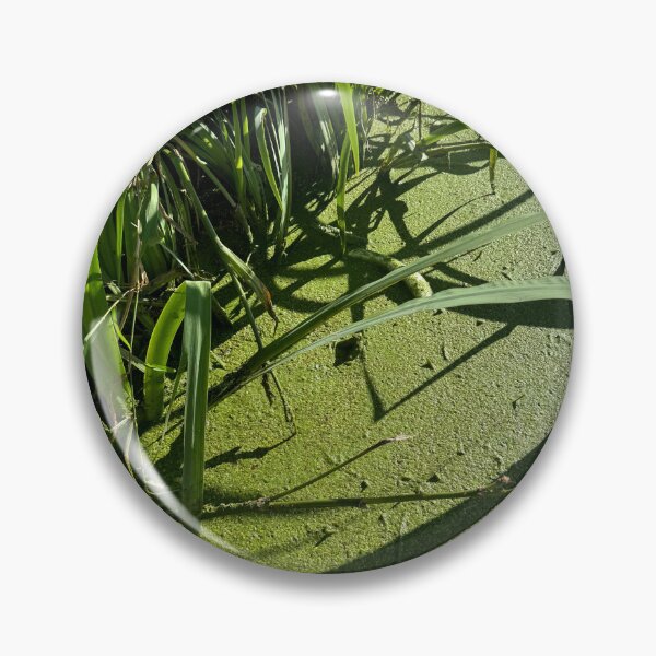 Artikelvorschau, Grünes Gras und Wasser entworfen und verkauft von Avatrent.