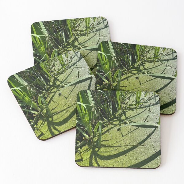 Item preview, Green grass and water designed and sold by Avatrent.