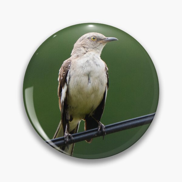 Item preview, Northern mockingbird sitting on a power line designed and sold by danaran117.
