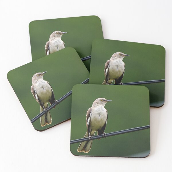 Item preview, Northern mockingbird sitting on a power line designed and sold by danaran117.