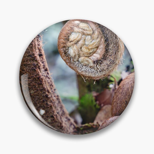 Item preview, Plant emergence: the spiral of Indonesian tropical ferns designed and sold by franck380.