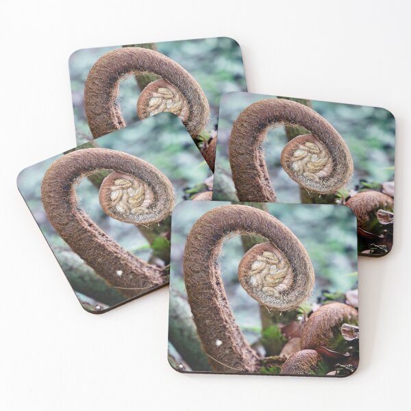 Item preview, Plant emergence: the spiral of Indonesian tropical ferns designed and sold by franck380.