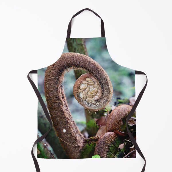 Item preview, Plant emergence: the spiral of Indonesian tropical ferns designed and sold by franck380.