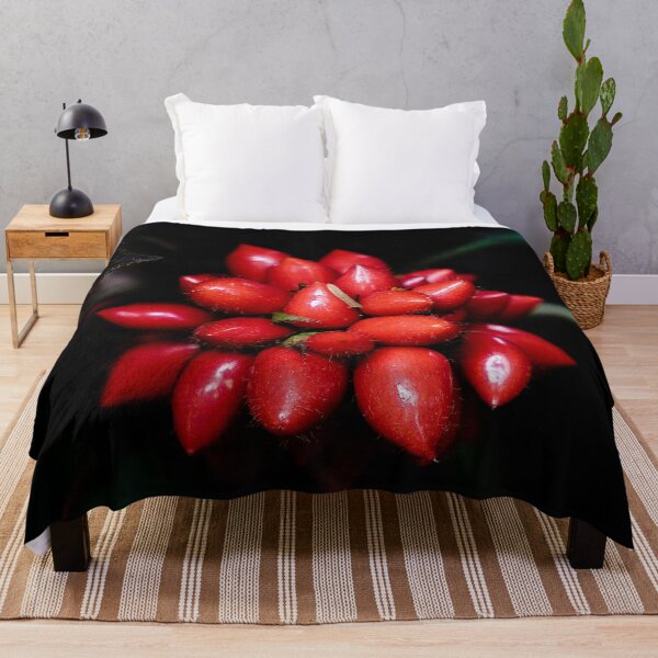 Item preview, Clusters of bright red tropical berries in Indonesia designed and sold by franck380.