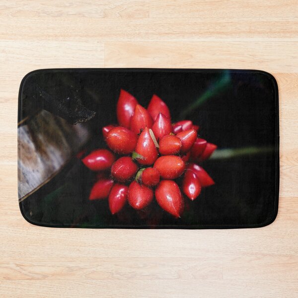 Artikelvorschau, Trauben leuchtend roter tropischer Beeren in Indonesien entworfen und verkauft von franck380.