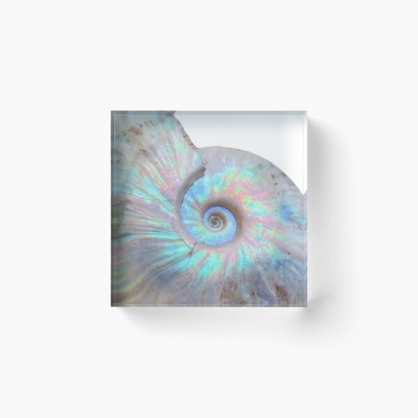 Item preview, Ammonite single cover designed and sold by Ashe780.