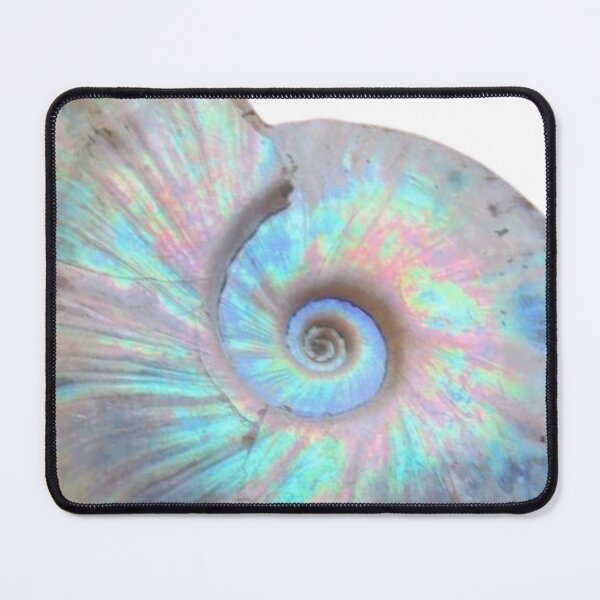 Item preview, Ammonite single cover designed and sold by Ashe780.