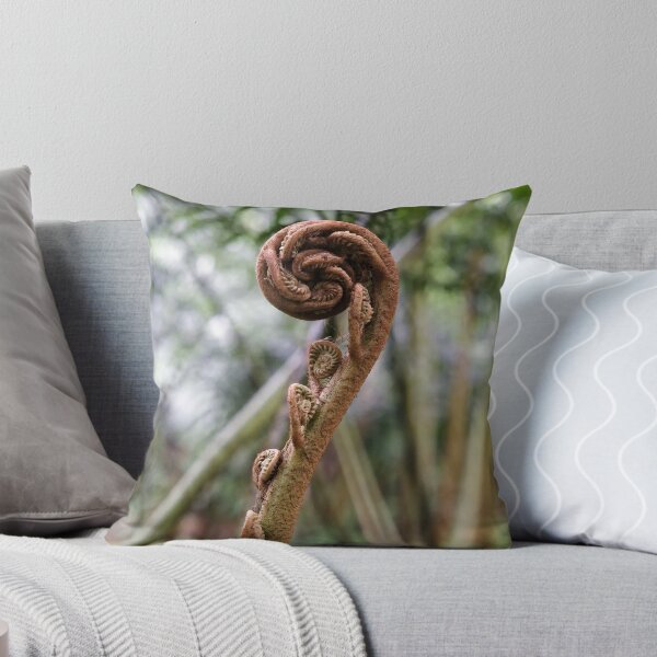 Item preview, Natural spirals of ferns developing in a damp undergrowth designed and sold by franck380.