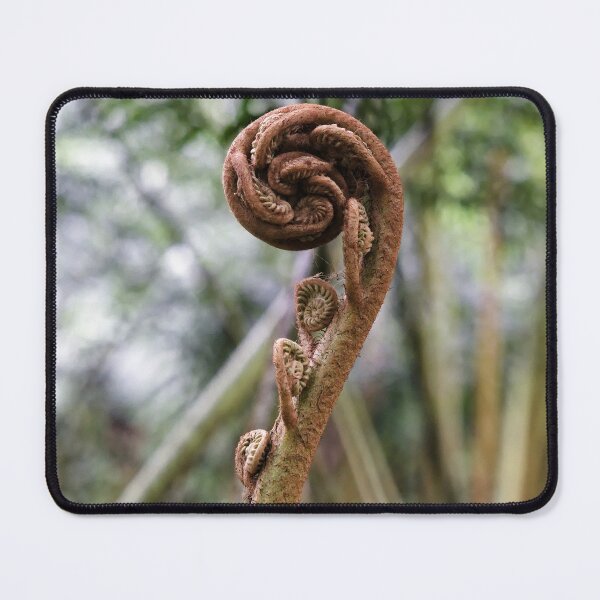 Item preview, Natural spirals of ferns developing in a damp undergrowth designed and sold by franck380.