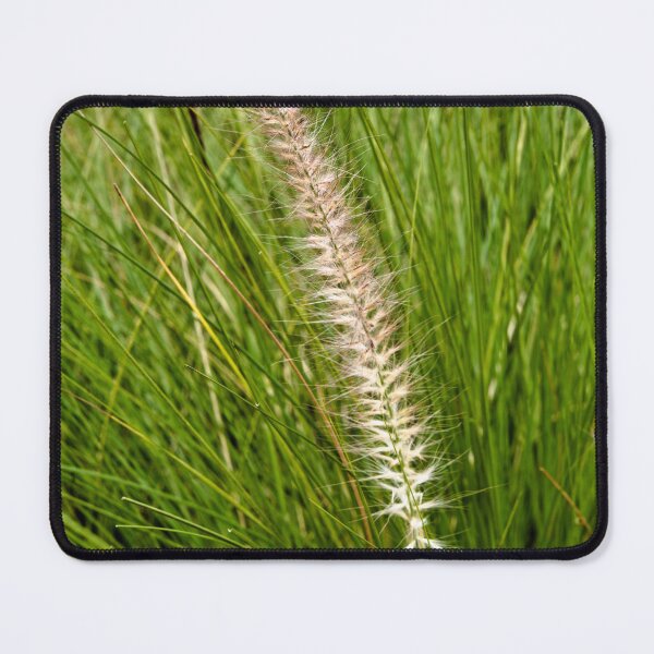 Item preview, Wild herbs and tropical grasses at Bogor Botanical Garden designed and sold by franck380.