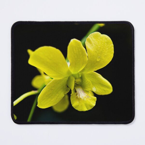 Item preview, Elegance of bright orchids in Indonesian vegetation designed and sold by franck380.