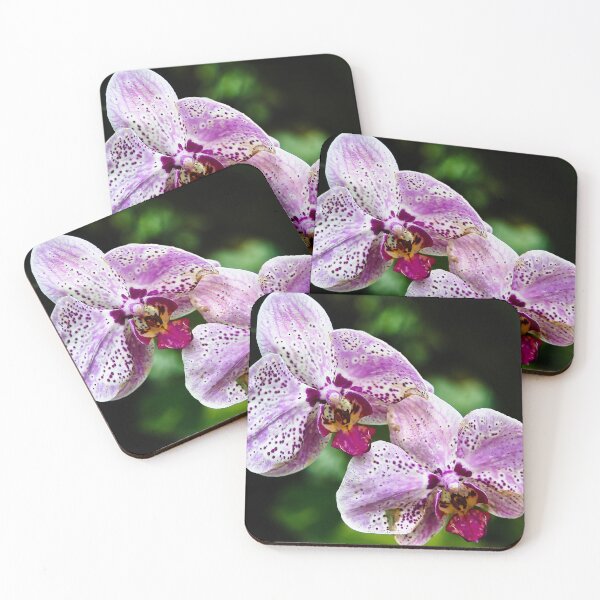 Item preview, Spotted Phalaenopsis orchids in shades of pink and purple designed and sold by franck380.