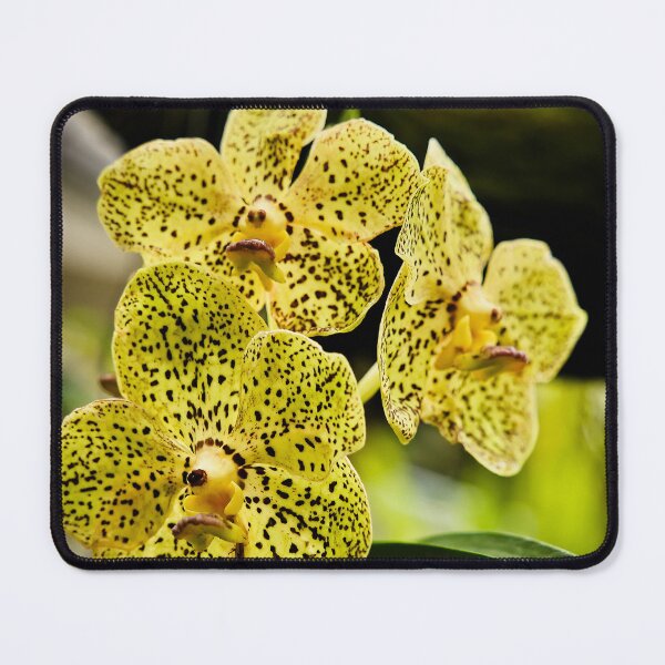 Item preview, Speckled yellow orchid with spectacular black patterns designed and sold by franck380.