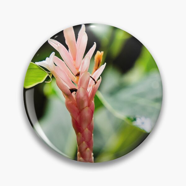 Item preview, Pink ginger flower in the heart of the lush tropics designed and sold by franck380.