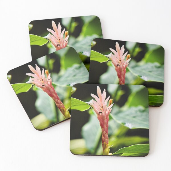 Item preview, Pink ginger flower in the heart of the lush tropics designed and sold by franck380.