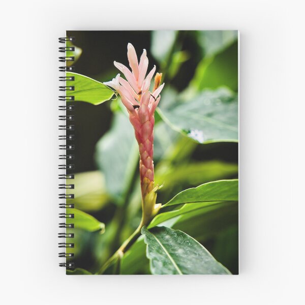 Item preview, Pink ginger flower in the heart of the lush tropics designed and sold by franck380.