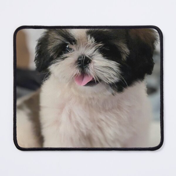 Item preview, Cute Shih Tzu Puppy Sitting on the Bed designed and sold by VanGaldo.