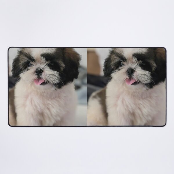 Item preview, Cute Shih Tzu Puppy Sitting on the Bed designed and sold by VanGaldo.