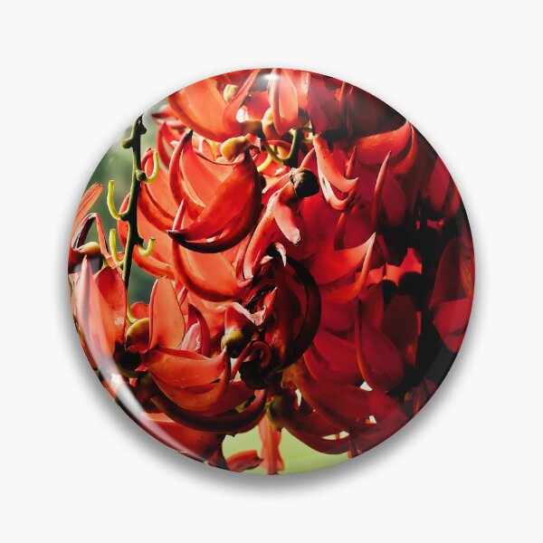 Item preview, Flaming splendor of tropical red jade flowers designed and sold by franck380.