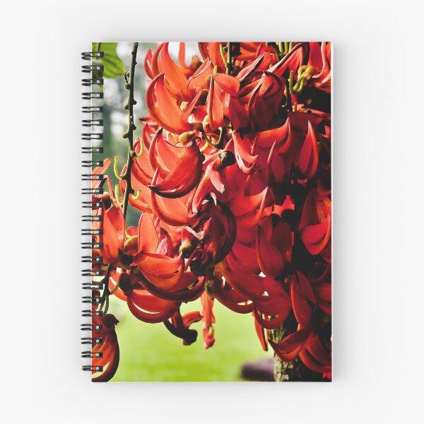 Item preview, Flaming splendor of tropical red jade flowers designed and sold by franck380.