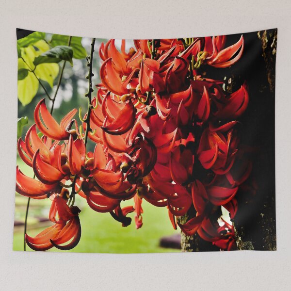 Item preview, Flaming splendor of tropical red jade flowers designed and sold by franck380.