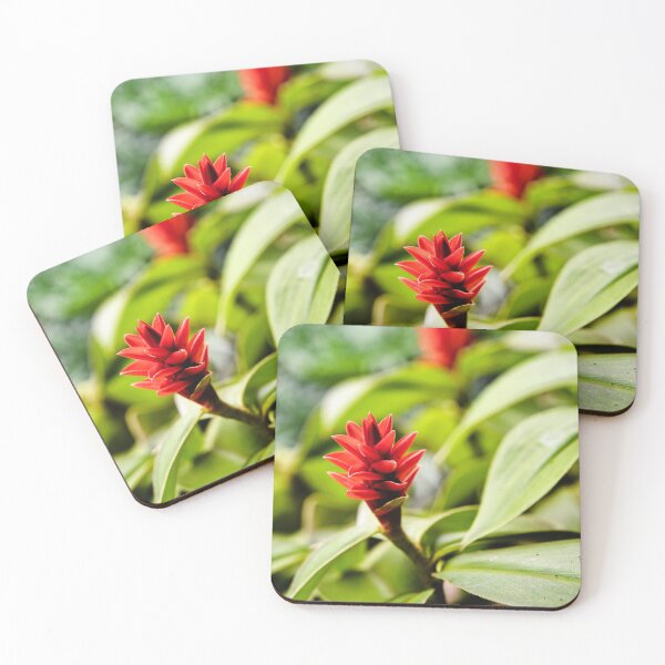 Item preview, The tropical delicacy of a red flower in full bloom designed and sold by franck380.