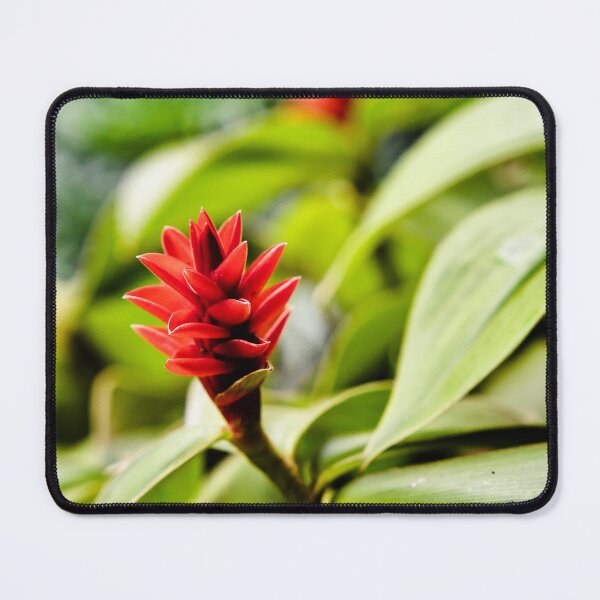 Item preview, The tropical delicacy of a red flower in full bloom designed and sold by franck380.