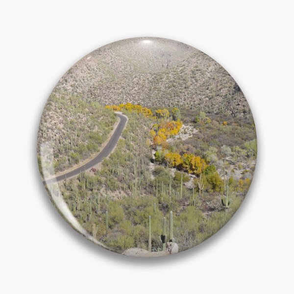 Item preview, Stunning Fall Trees And Saguaro Cacti designed and sold by simonjayphotos.