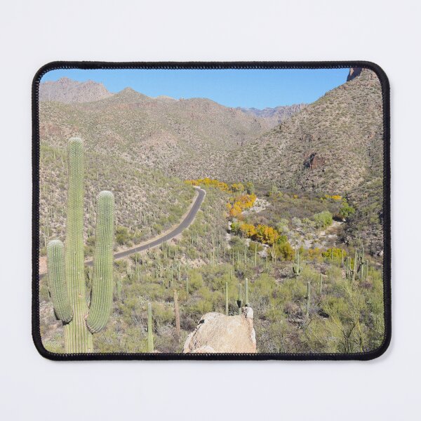Item preview, Stunning Fall Trees And Saguaro Cacti designed and sold by simonjayphotos.