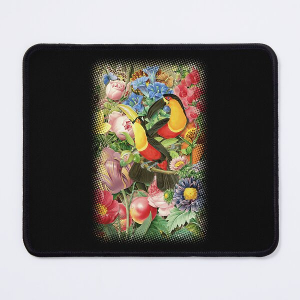 Artikelvorschau, Toucans Gary Grayson Transparent entworfen und verkauft von bzpxcmlsyw60.