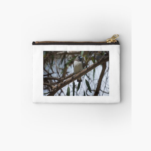 Item preview, White Breasted Woodswallow designed and sold by D-GaP.