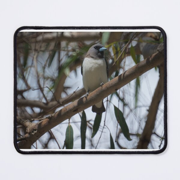 Item preview, White Breasted Woodswallow designed and sold by D-GaP.
