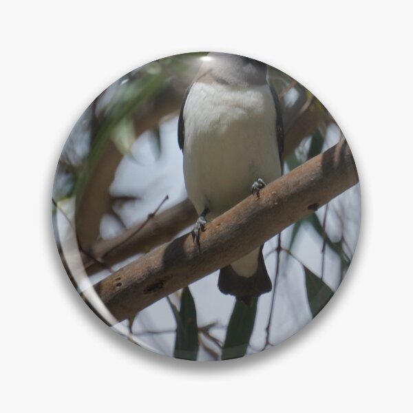 Item preview, White Breasted Woodswallow designed and sold by D-GaP.