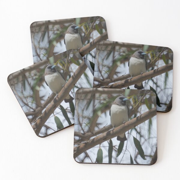 Item preview, White Breasted Woodswallow designed and sold by D-GaP.