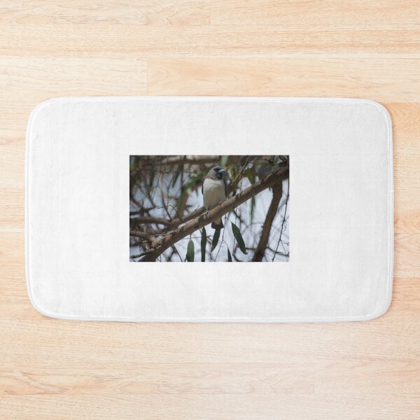 Item preview, White Breasted Woodswallow designed and sold by D-GaP.