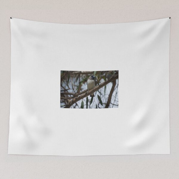 Item preview, White Breasted Woodswallow designed and sold by D-GaP.