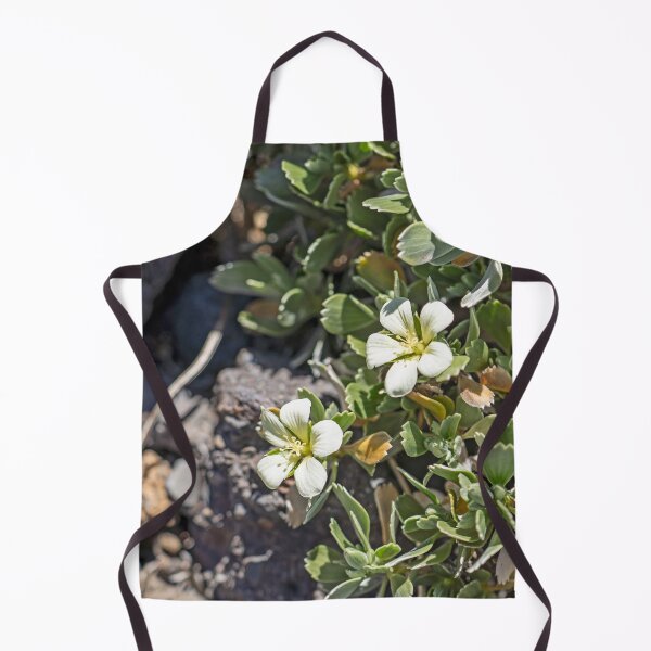 Item preview, Nohoanu designed and sold by Keola Makaiau.