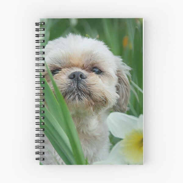 Item preview, Shih Tzu Puppy Hiding in the Garden designed and sold by VanGaldo.