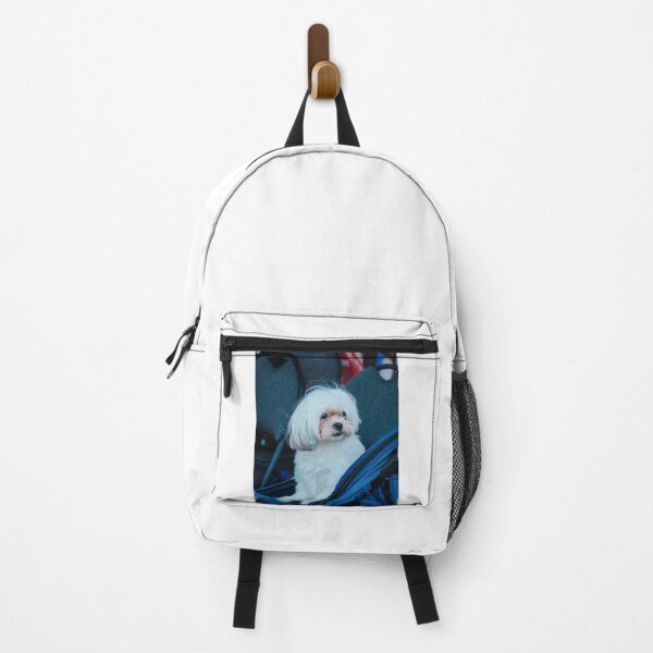 Item preview, Cute White Shih Tzu Dog on Carrier designed and sold by VanGaldo.