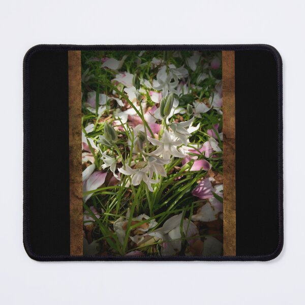 Item preview, Wildflowers Amp; Magnolia Blossoms With Distressed Frame Design Classic designed and sold by hmzrkojq51.