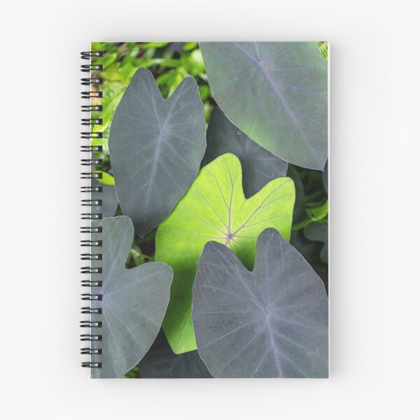 Item preview, Lau designed and sold by Keola Makaiau.