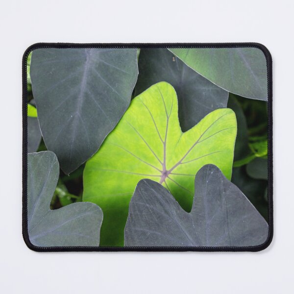 Item preview, Lau designed and sold by Keola Makaiau.