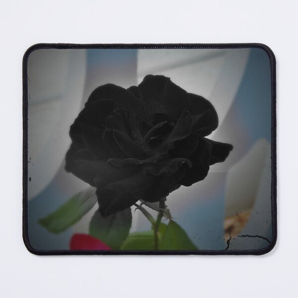 Item preview, Black Rose designed and sold by LeeAnnaRose96.